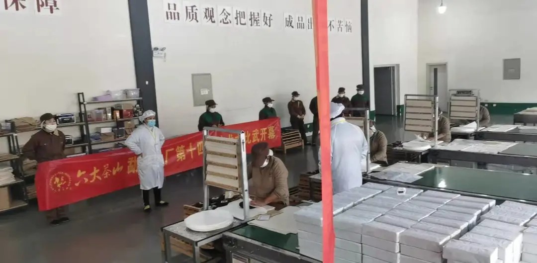 精益求精&middot;鑄造品質(zhì)｜六大茶山第十四屆技術(shù)大比武圓滿完成